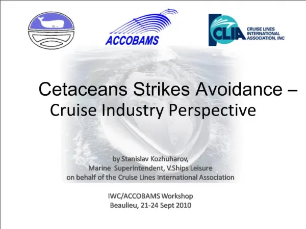 Cetaceans Strikes Avoidance Cruise Industry Perspective