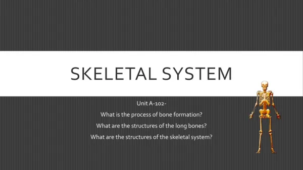 Skeletal system