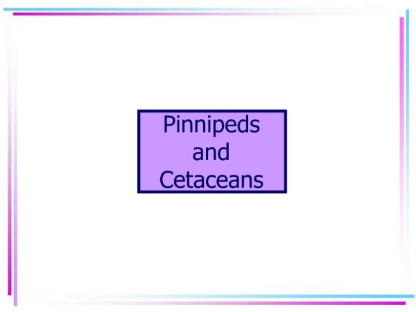 Pinnipeds and Cetaceans