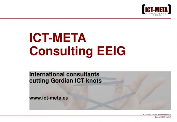 ICT-META Consulting EEIG
