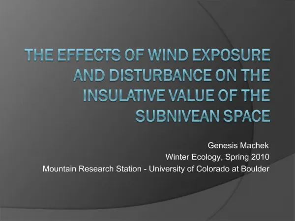 The Effects of Wind Exposure and Disturbance on the Insulative Value of the Subnivean Space