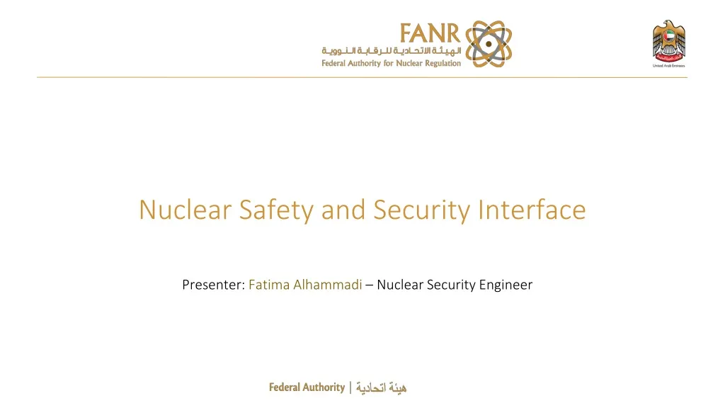 nuclear safety and security interface