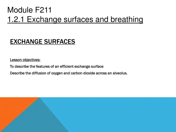Exchange surfaces