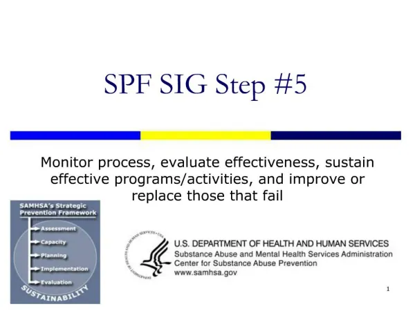 SPF SIG Step 5