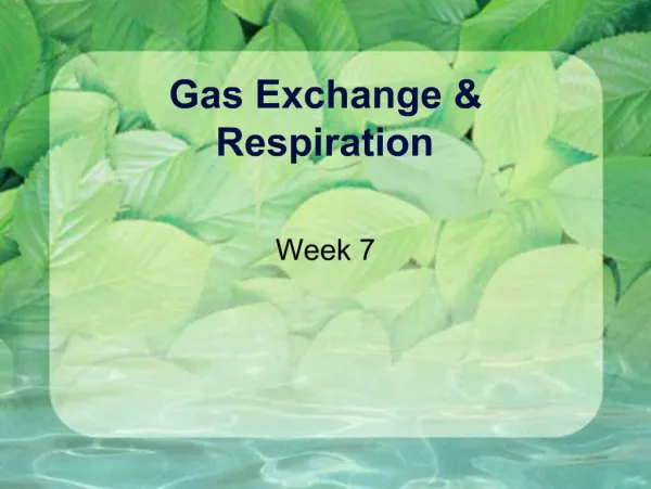 Gas Exchange Respiration