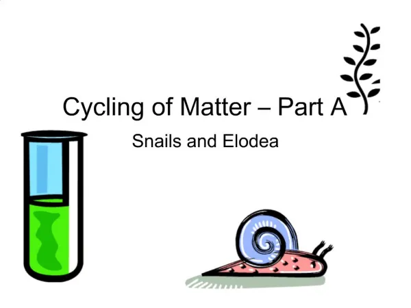 Cycling of Matter Part A