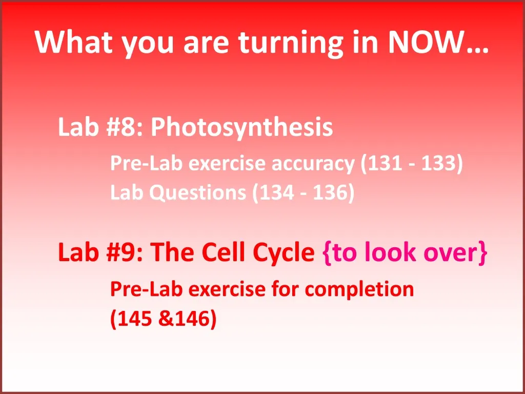 what you are turning in now lab 8 photosynthesis