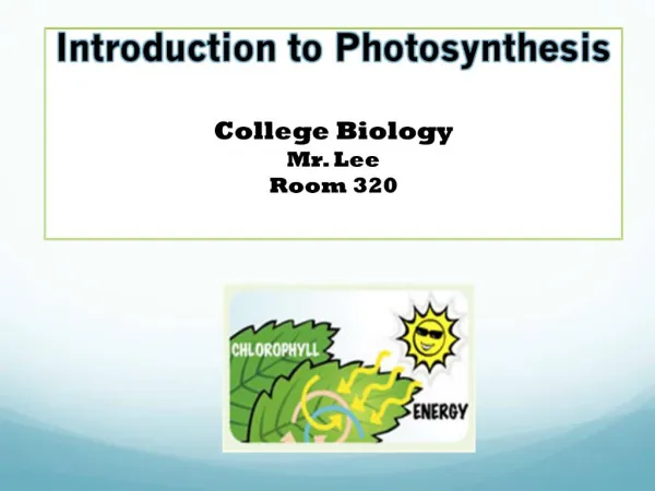 Introduction to Photosynthesis College Biology Mr. Lee Room 320