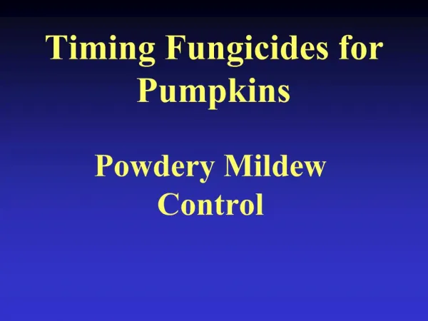 Timing Fungicides for Pumpkins