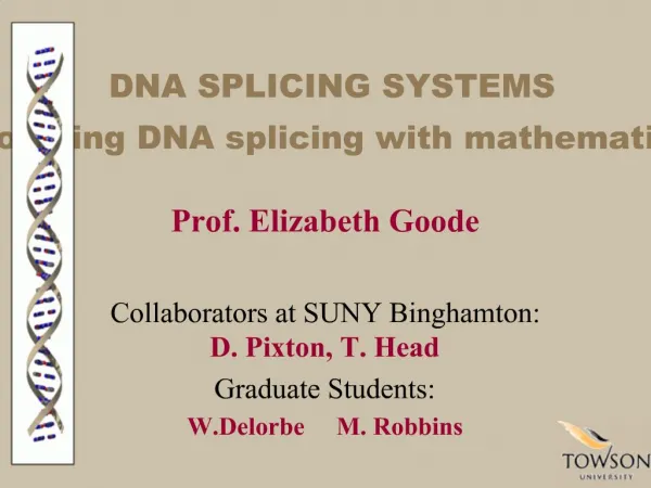 Prof. Elizabeth Goode Collaborators at SUNY Binghamton: D. Pixton, T. Head Graduate Students: W.Delorbe M. Robbins