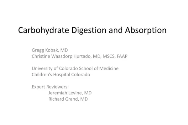 Carbohydrate Digestion and Absorption