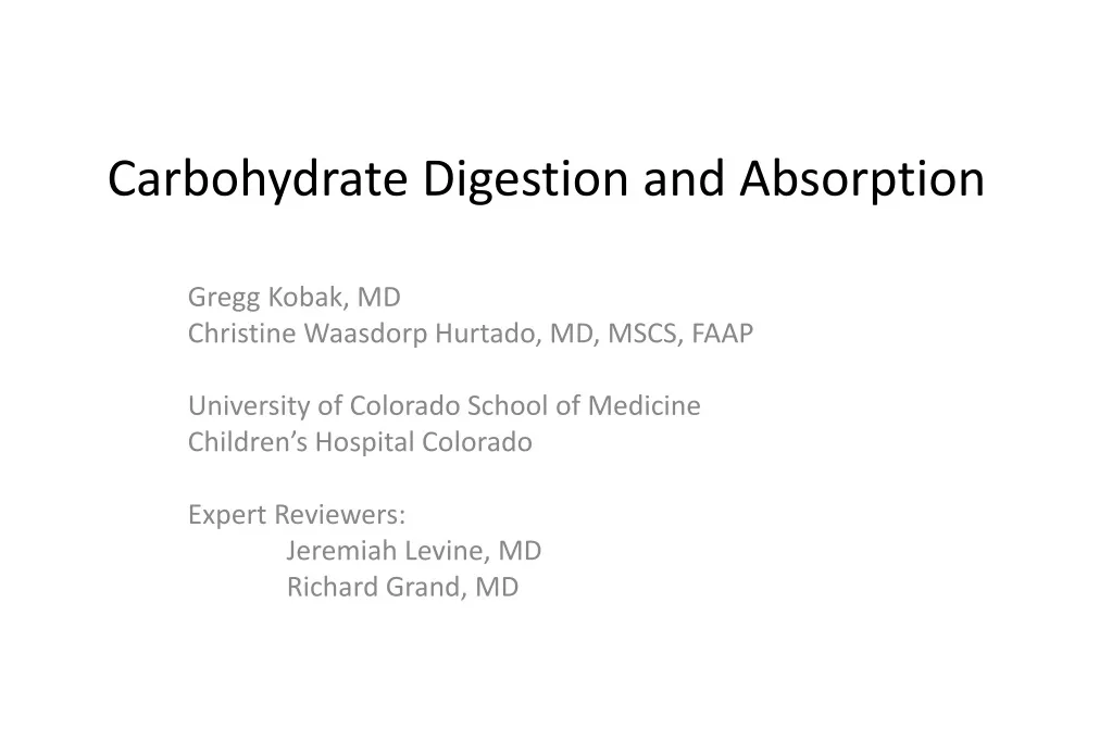 carbohydrate digestion and absorption