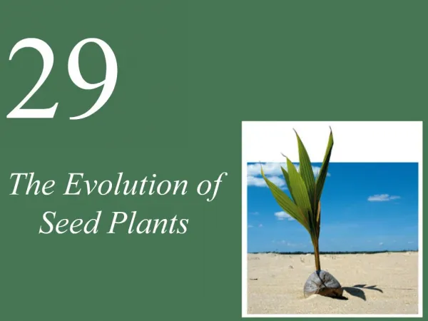 The Evolution of Seed Plants