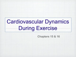 Cardiovascular Dynamics During Exercise - slide 1