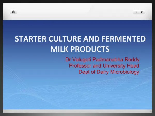 STARTER CULTURE AND FERMENTED MILK PRODUCTS