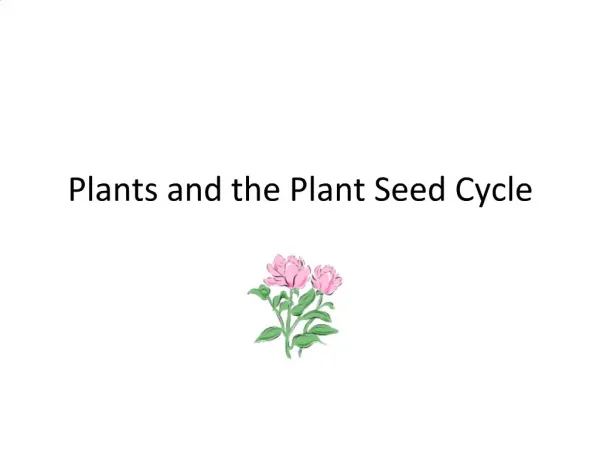 Plants and the Plant Seed Cycle
