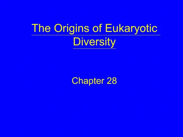 The Origins of Eukaryotic Diversity Chapter 28