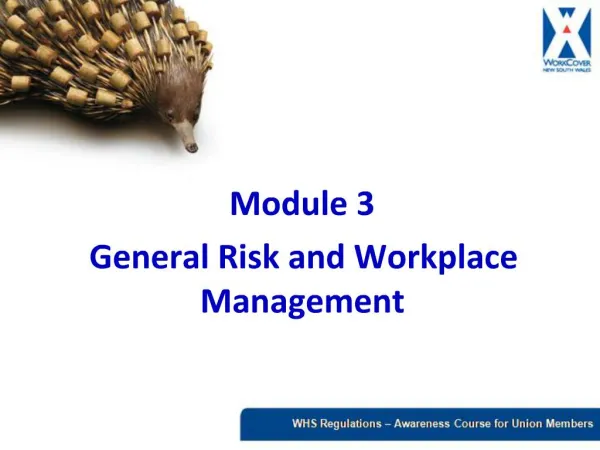 Module 3 General Risk and Workplace Management
