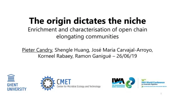 The origin dictates the niche Enrichment and characterisation of open chain elongating communities
