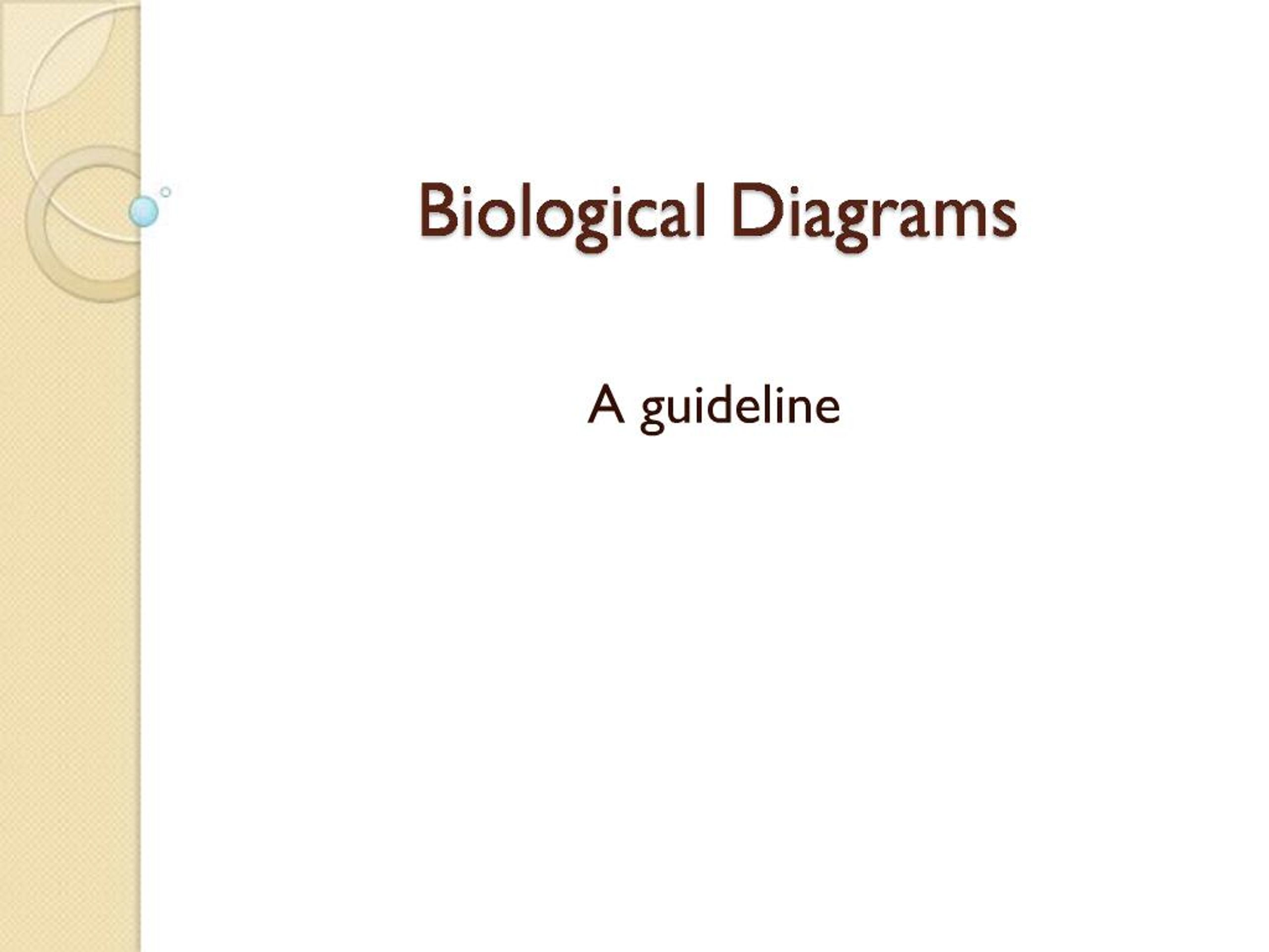 Biomedical Digrams PPT - Guidelines for Creating Effective Biological Diagrams and ...