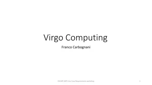 Virgo Computing