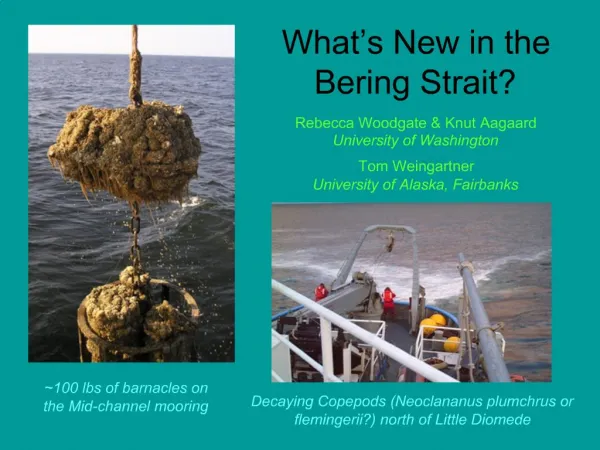 What s New in the Bering Strait Rebecca Woodgate Knut Aagaard University of Washington Tom Weingartner University o