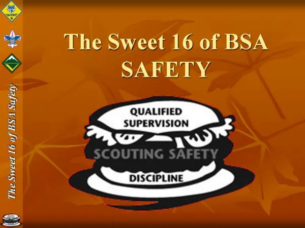 The Sweet 16 of BSA SAFETY