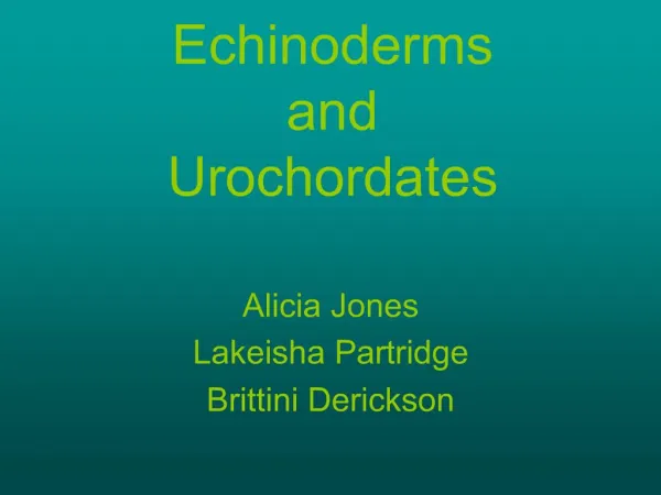 Echinoderms and Urochordates