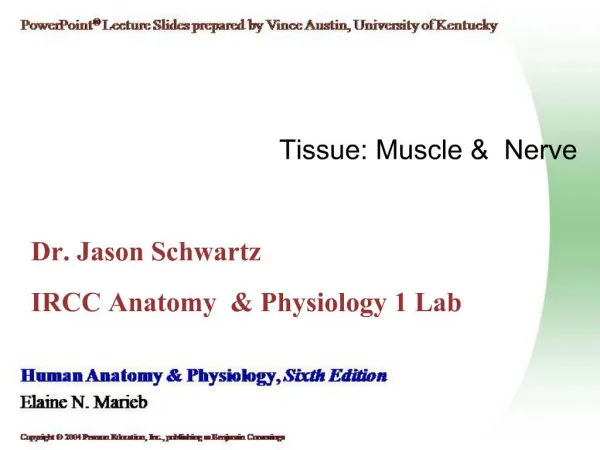 Tissue: Muscle Nerve Dr. Jason Schwartz IRCC Anatomy Physiology 1 Lab