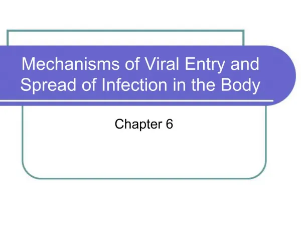 Mechanisms of Viral Entry and Spread of Infection in the Body