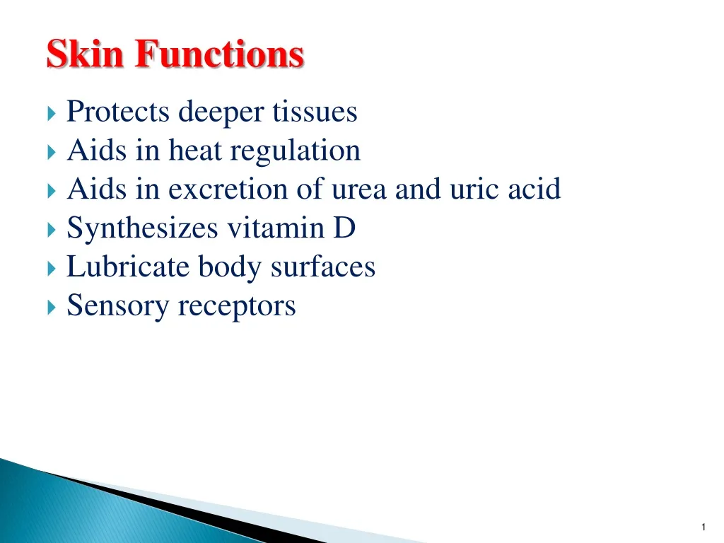 skin functions