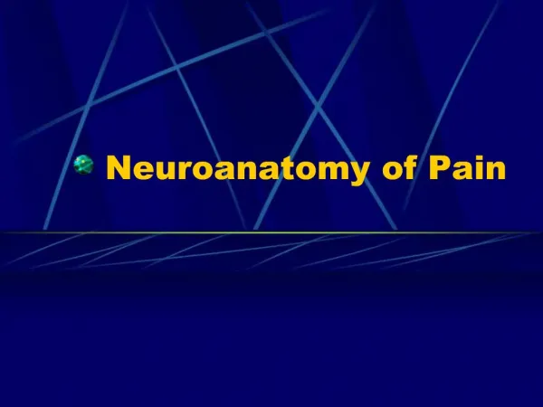 Neuroanatomy of Pain