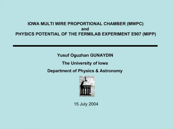 IOWA MULTI WIRE PROPORTIONAL CHAMBER MWPC and PHYSICS POTENTIAL OF THE FERMILAB EXPERIMENT E907 MIPP