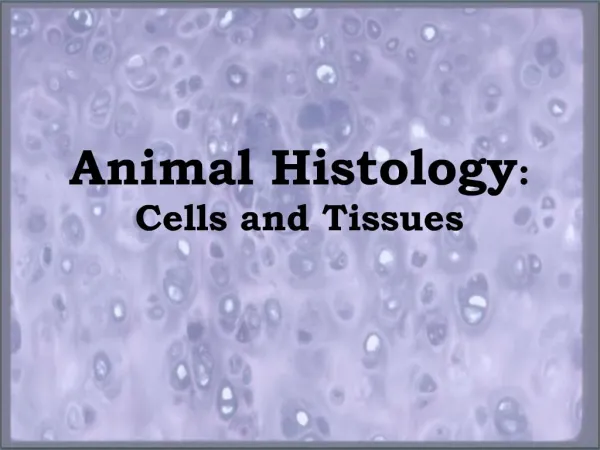 Animal Histology: Cells and Tissues