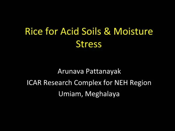 Rice for Acid Soils Moisture Stress