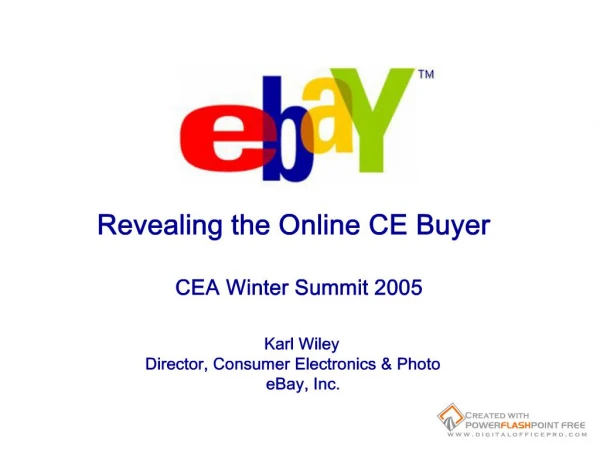 Revealing the Online CE Buyer