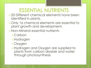 ESSENTIAL NUTRIENTS - slide 1