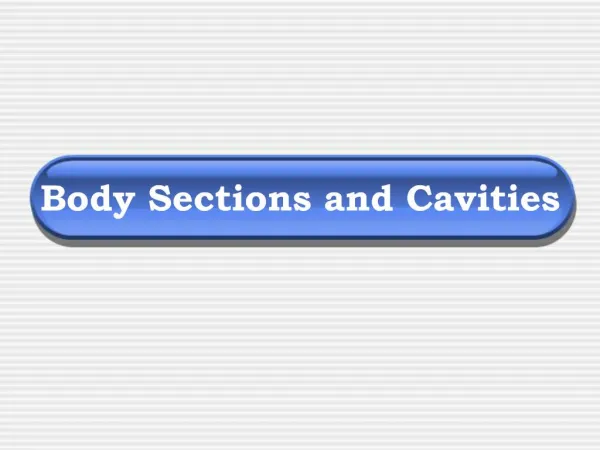 Body Sections and Cavities