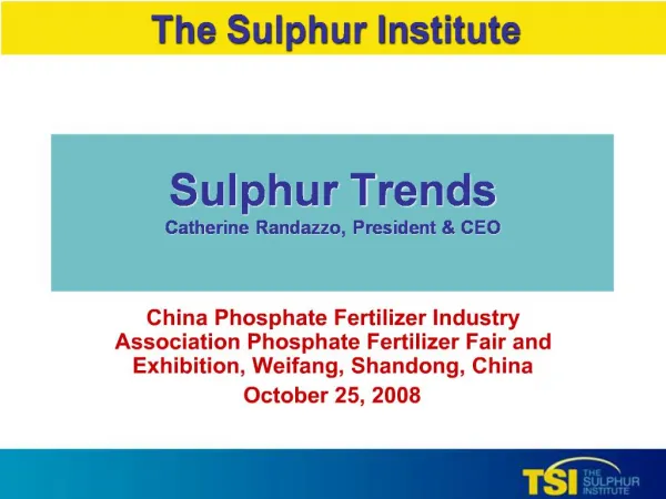 Sulphur Trends Catherine Randazzo, President CEO