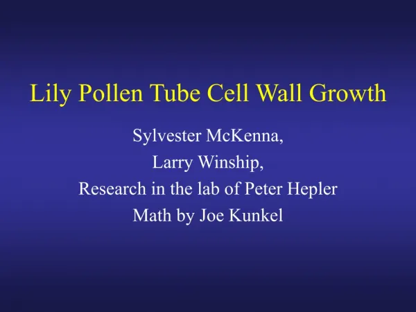 Lily Pollen Tube Cell Wall Growth