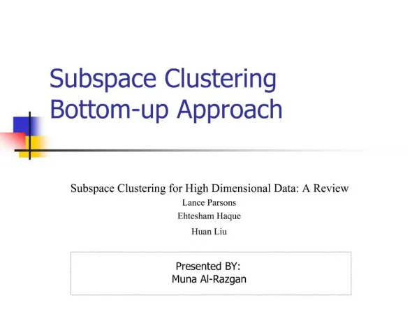 Subspace Clustering Bottom-up Approach