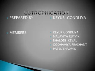 PREPARED BY MEMBERS - slide 1