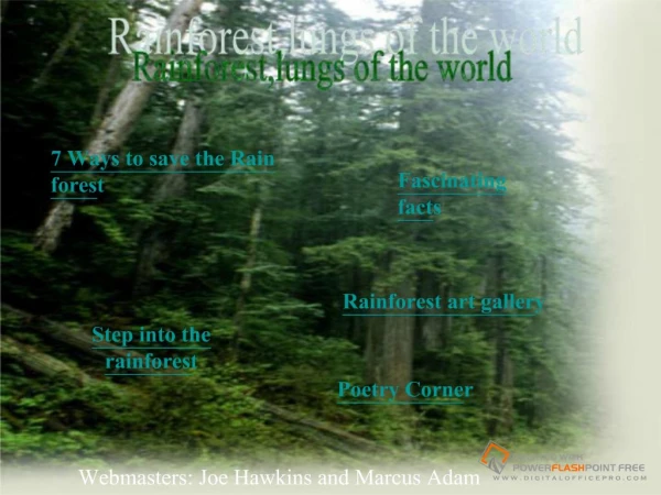 7 Ways to save the Rain forest