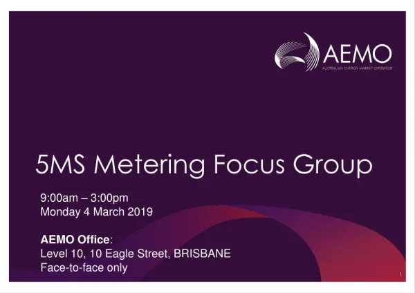 5MS Metering Focus Group
