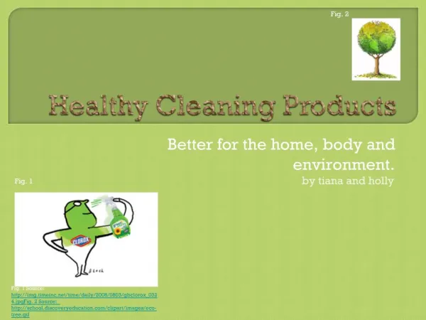 Healthy Cleaning Products