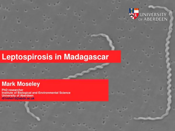 Leptospirosis in Madagascar