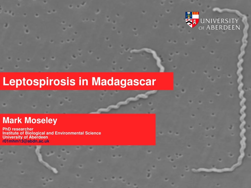 leptospirosis in madagascar