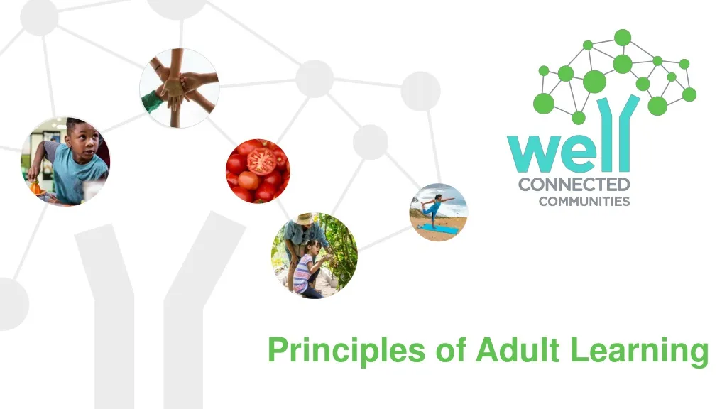 principles of adult learning