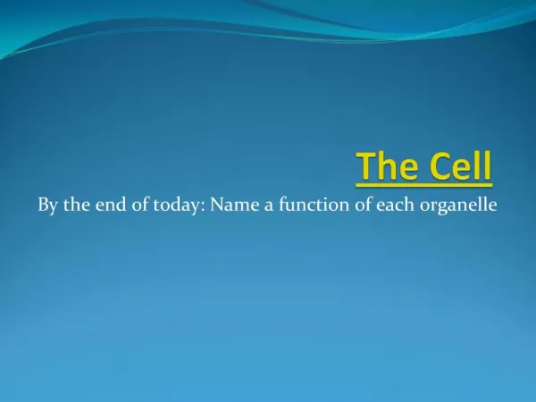 slide1