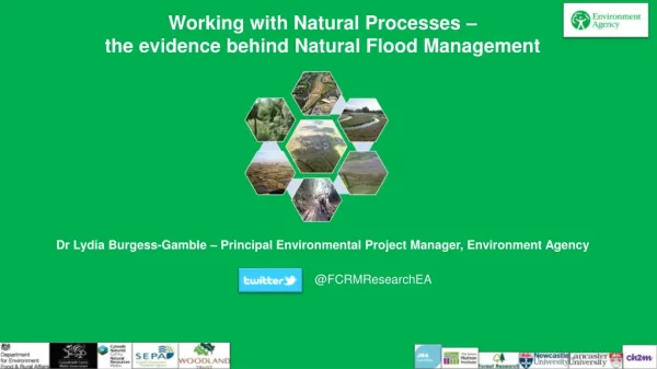 Working with Natural Processes – the evidence behind Natural Flood Management